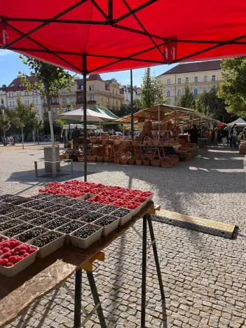 Pronájem bytu 2+kk, Praha - Žižkov, Křišťanova, 58 m2