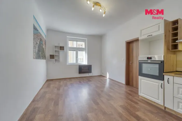 Pronájem bytu 2+kk, Plzeň - Jižní Předměstí, Čechova, 52 m2