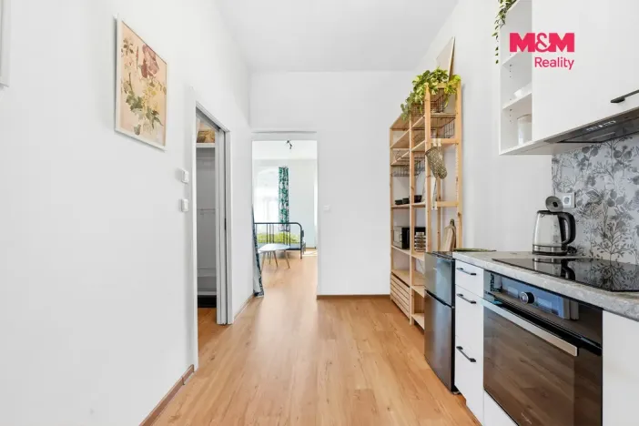 Prodej činžovního domu, Ústí nad Labem - Klíše, Masarykova, 670 m2