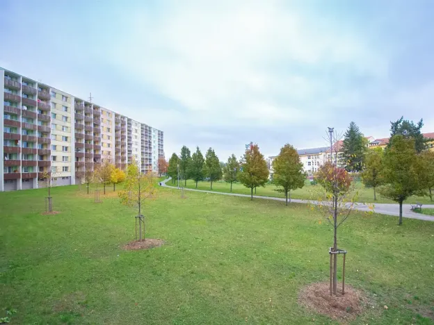Pronájem bytu 1+1, Brno, Schwaigrova, 31 m2
