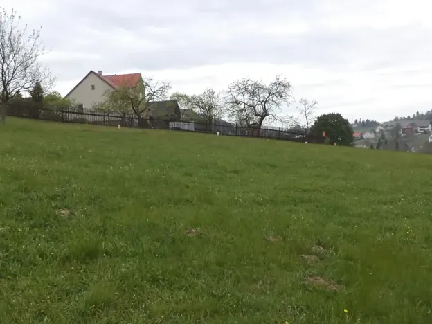 Dražba louky, Mosty u Jablunkova, 1105 m2