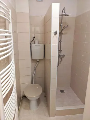 Pronájem bytu 1+1, Opava, Těšínská, 50 m2