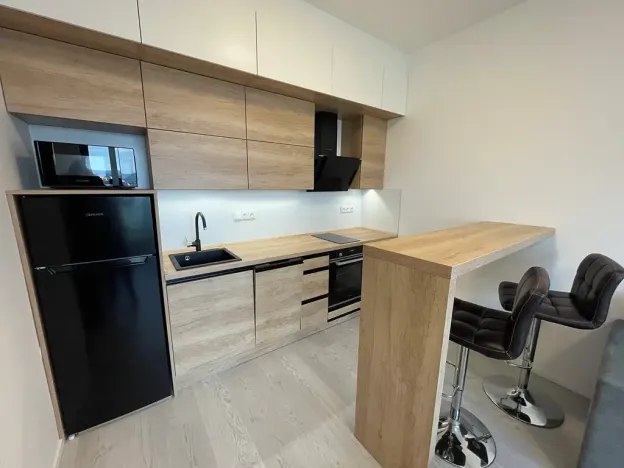 Pronájem bytu 2+kk, Brno, třída Generála Píky, 50 m2