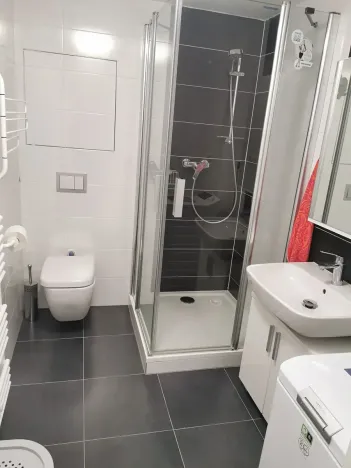 Pronájem bytu 1+kk, Brno, Nad Přehradou, 24 m2