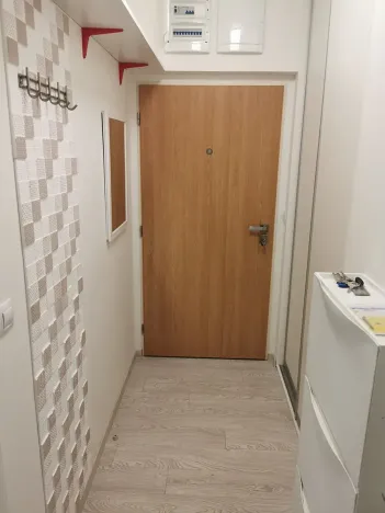 Pronájem bytu 1+kk, Brno, Nad Přehradou, 24 m2