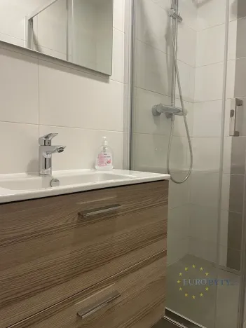 Pronájem bytu 1+kk, Praha - Chodov, Nad Opatovem, 31 m2