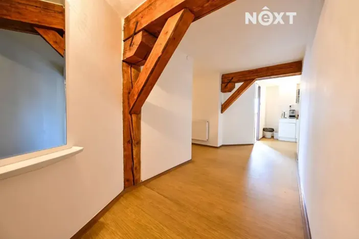 Prodej obchodního prostoru, Bílovec, 817 m2