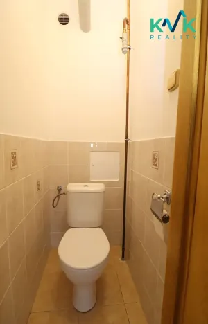 Pronájem bytu 2+1, Ostrov, Mánesova, 58 m2