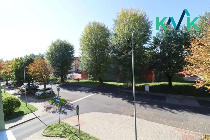 Pronájem bytu 2+1, Ostrov, Mánesova, 58 m2