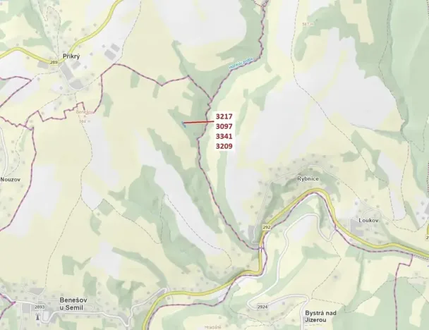 Dražba lesa, Benešov u Semil, 1649 m2