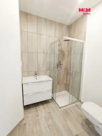 Pronájem bytu 1+1, Frýdek-Místek - Frýdek, Růžový pahorek, 28 m2