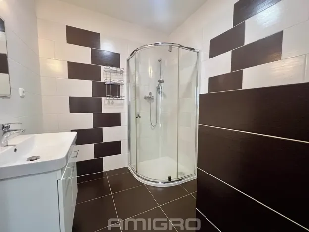 Pronájem bytu 1+kk, Brno, Věstonická, 38 m2
