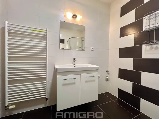 Pronájem bytu 1+kk, Brno, Věstonická, 38 m2