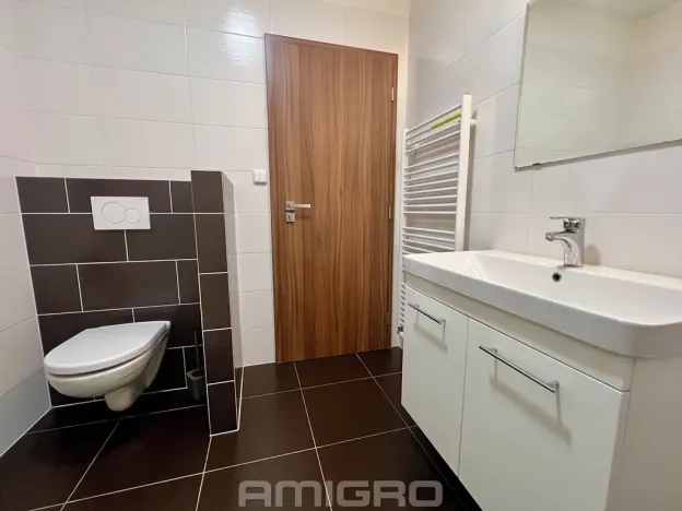 Pronájem bytu 1+kk, Brno, Věstonická, 38 m2