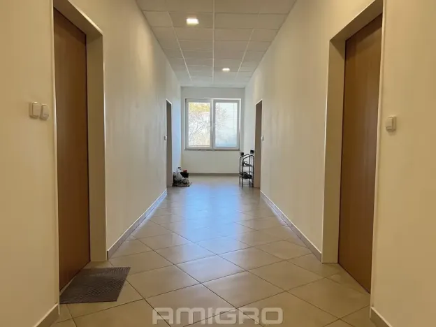 Pronájem bytu 1+kk, Brno, Věstonická, 38 m2