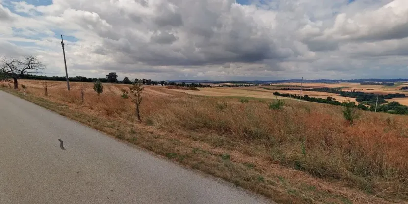 Prodej pozemku, Lomy, 2217 m2