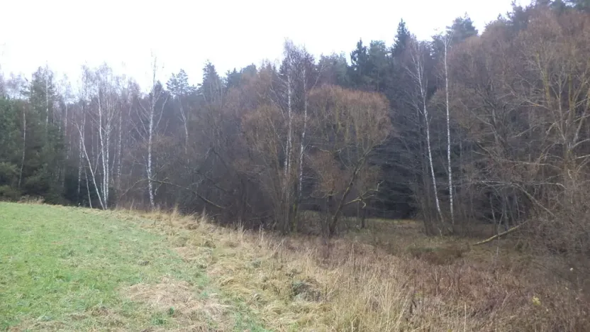 Prodej pozemku, Vyšší Brod, 919 m2