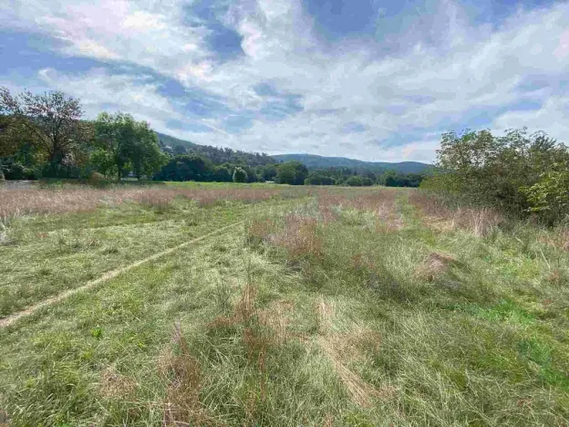 Prodej pozemku, Všenory, 601 m2