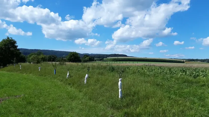Prodej pozemku pro bydlení, Líšnice, 5077 m2