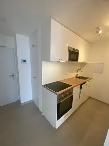 Pronájem bytu 2+kk, Praha - Žižkov, Malešická, 45 m2