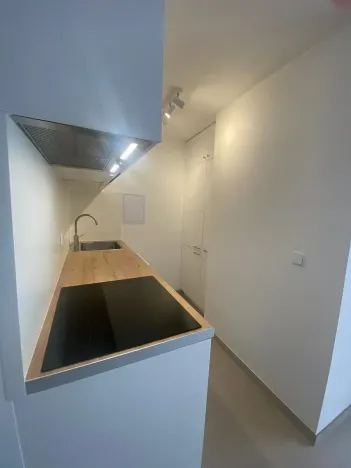 Pronájem bytu 2+kk, Praha - Žižkov, Malešická, 45 m2