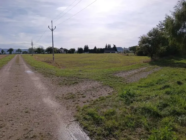 Dražba pole, Vrbice, 9030 m2