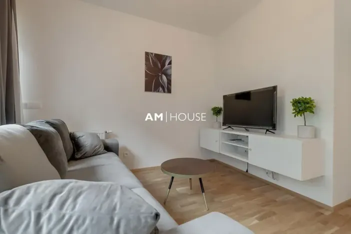 Pronájem bytu 2+kk, Praha - Karlín, Breitfeldova, 55 m2
