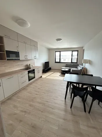Pronájem bytu 4+kk, Písek, Pražská, 95 m2