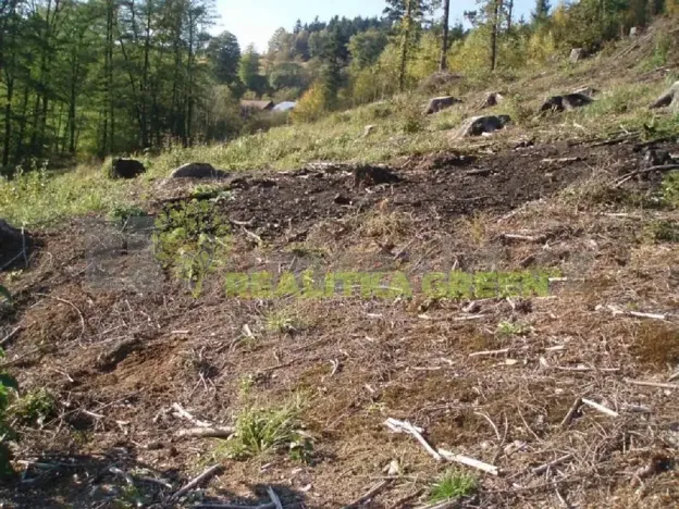 Prodej lesa, Pozděchov, 14279 m2