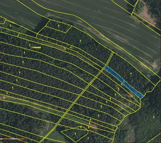 Prodej lesa, Strmilov, 1331 m2