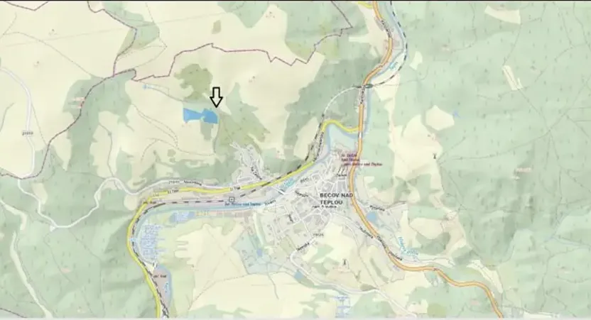Prodej lesa, Bečov nad Teplou, 11646 m2