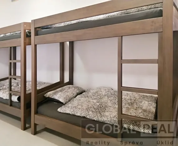 Pronájem ubytování, Pavlínov, 310 m2