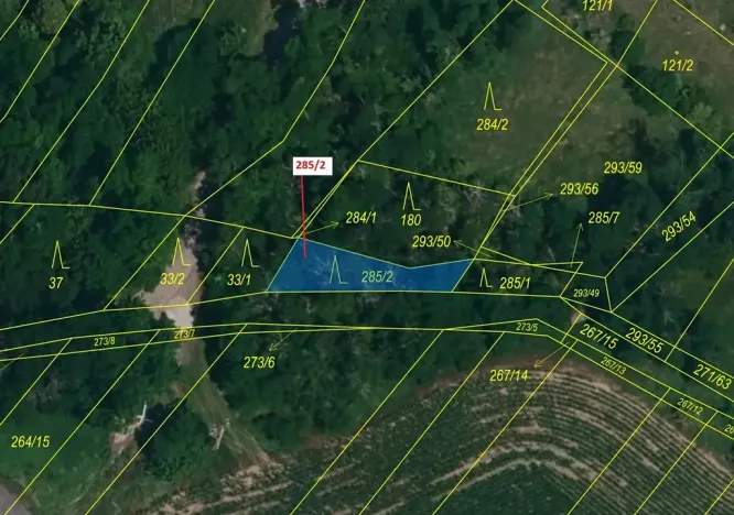 Dražba lesa, Horní Dunajovice, 150 m2