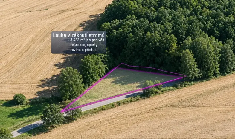 Prodej louky, Přívrat, 3433 m2