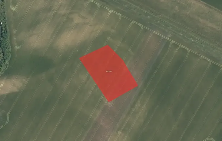 Prodej pole, Nový Vestec, 5630 m2