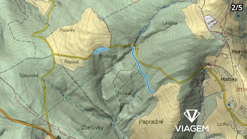 Prodej podílu lesa, Bojkovice, 3318 m2