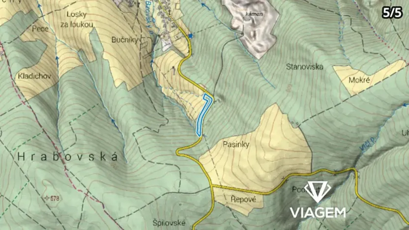 Prodej podílu lesa, Bojkovice, 3318 m2