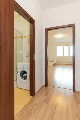 Prodej bytu 1+kk, Praha - Vysočany, Freyova, 33 m2