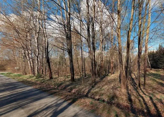 Prodej pozemku, Rozvadov, 2618 m2