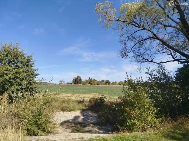 Prodej pozemku pro bydlení, Ježkovice, 56184 m2