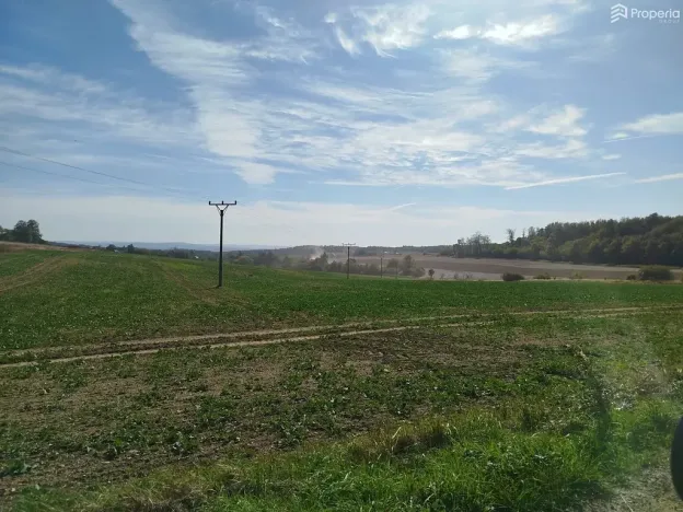Prodej pozemku pro bydlení, Ježkovice, 56184 m2