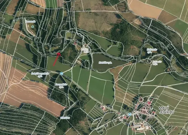 Prodej lesa, Strmilov, 881 m2