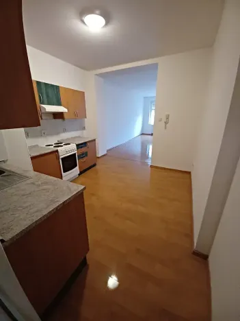 Pronájem bytu 1+1, Plzeň, Pod Všemi svatými, 54 m2