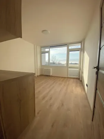 Pronájem bytu 1+kk, Most, U Věžových domů, 22 m2