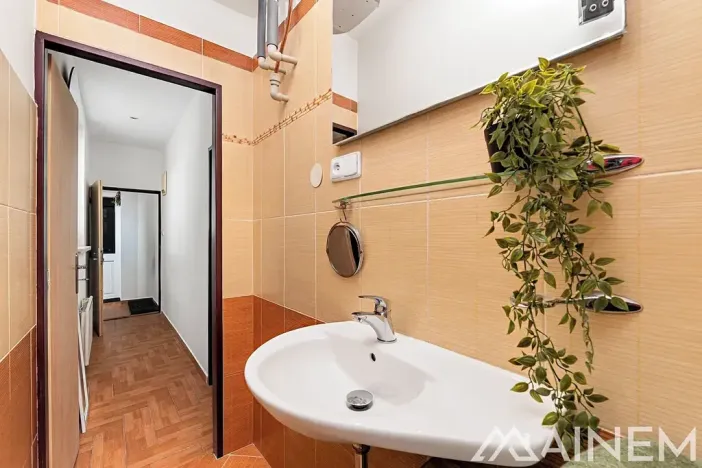 Prodej bytu 1+1, Plzeň, Nad Týncem, 49 m2