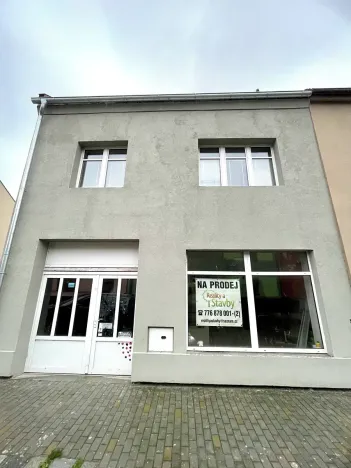 Prodej rodinného domu, Němčice nad Hanou, 190 m2