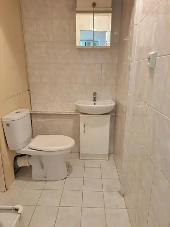 Pronájem bytu 1+1, Hradec Králové, Štefánikova, 40 m2