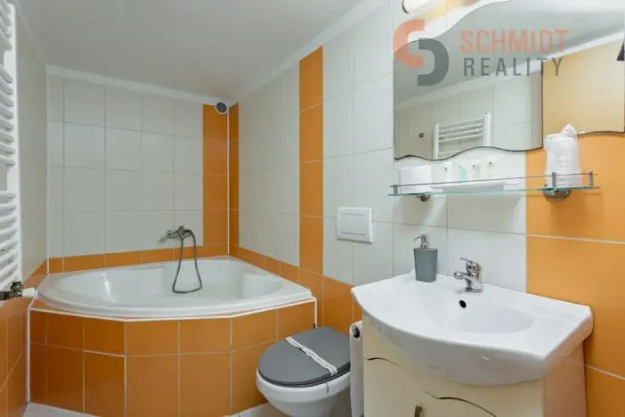 Prodej vícegeneračního domu, Podivín, 450 m2