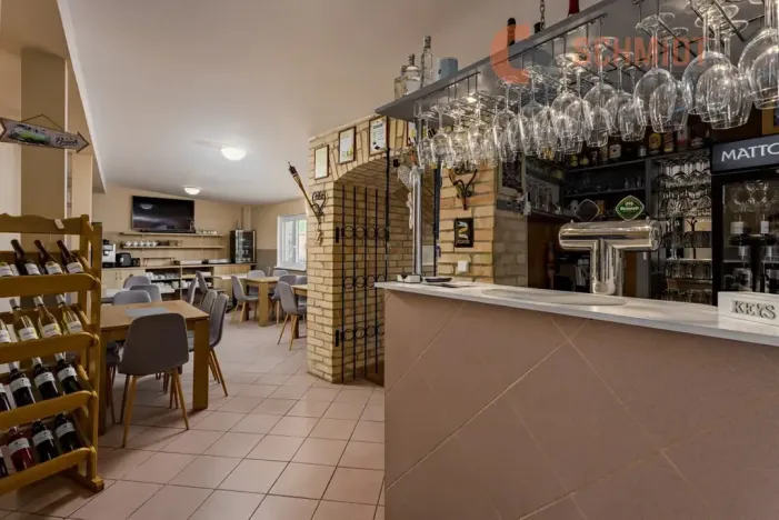 Prodej vícegeneračního domu, Podivín, 450 m2