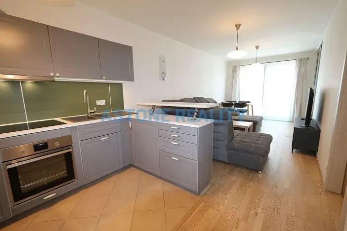 Pronájem bytu 4+kk, Praha - Žižkov, Olšanská, 110 m2